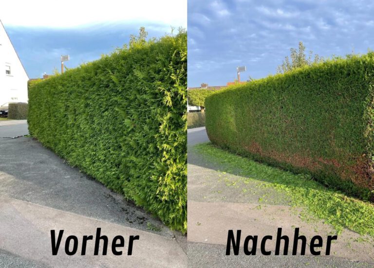 Heckenschnitt Vorher Nachher