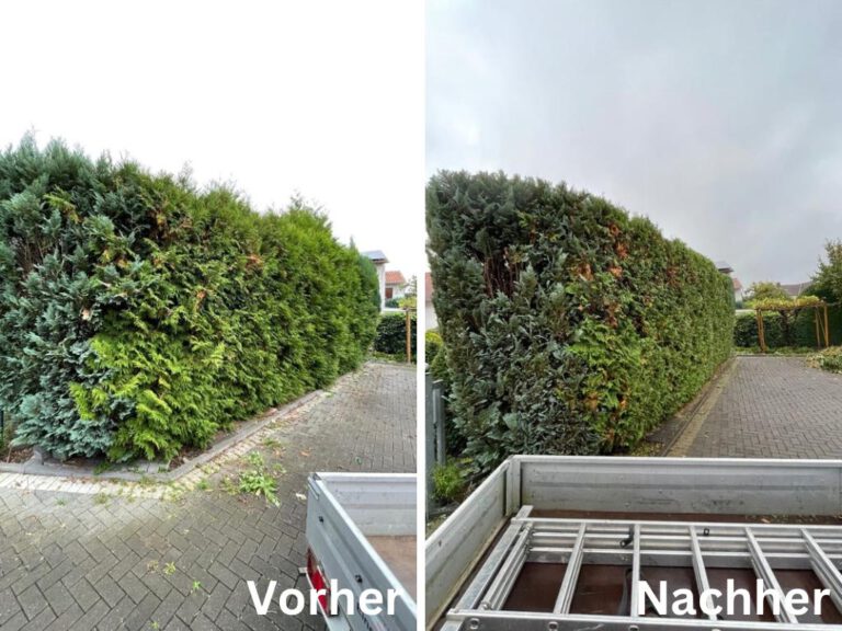 Heckenschnitt: Vorher – Nachher