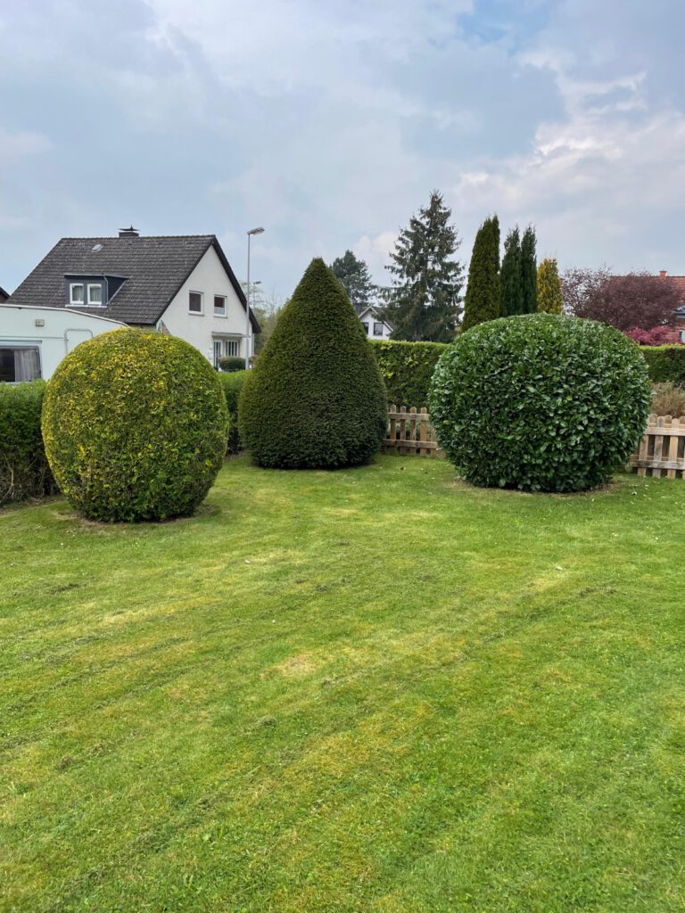 Hecke und Rasen sauber geschnitten
